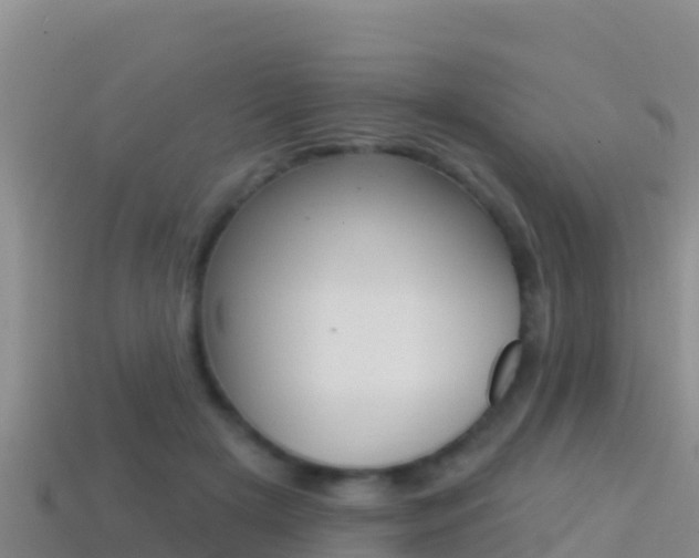 X0000114420505200910161057