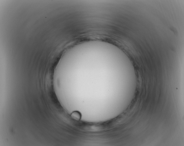 X0000114420506200910161057