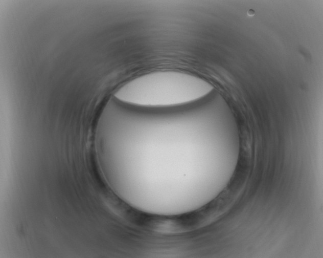 X0000114420507200910161057