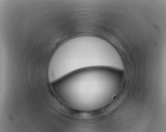 X0000114420509200910161057