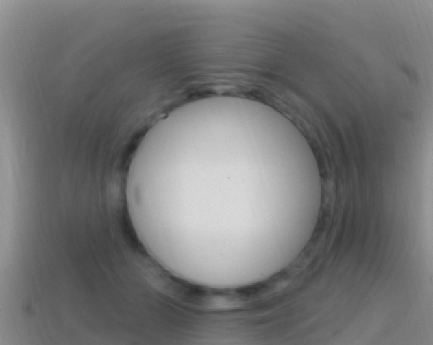 X0000114420510200910161057