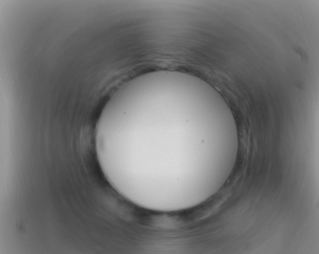 X0000114420511200910161057