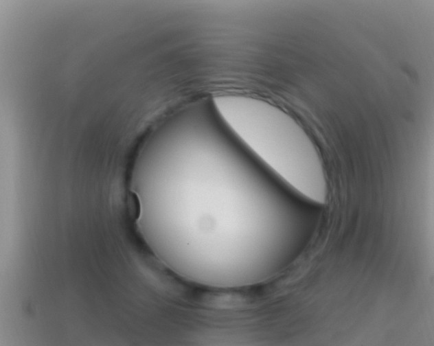 X0000114420512200910161057