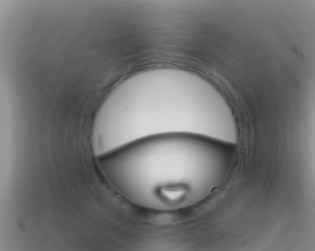 X0000114420513200910161057