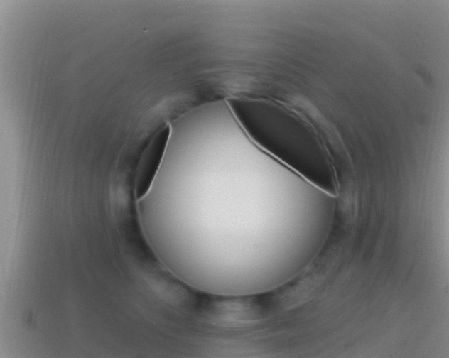 X0000114420516200910161057