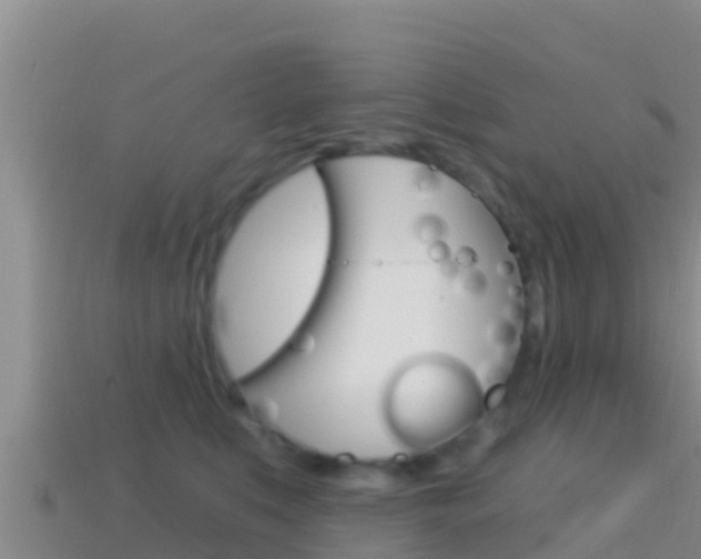 X0000114420519200910161057