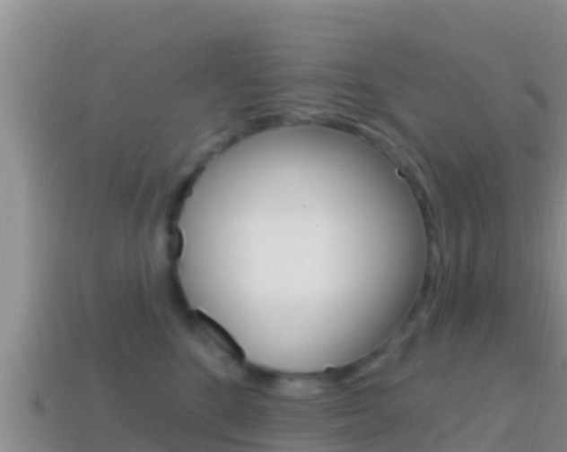 X0000114420520200910161057