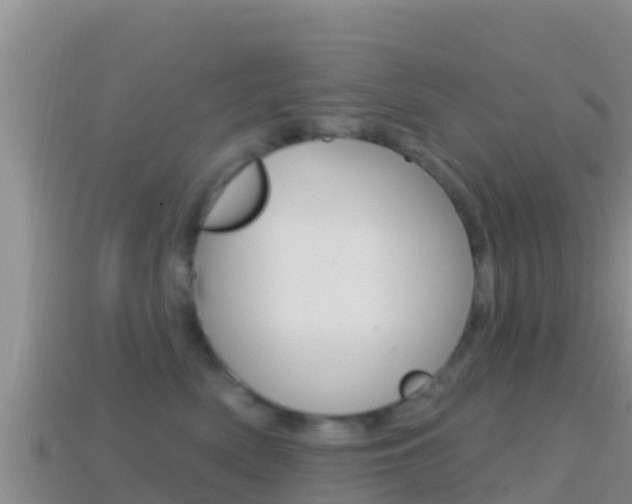 X0000114420522200910161057
