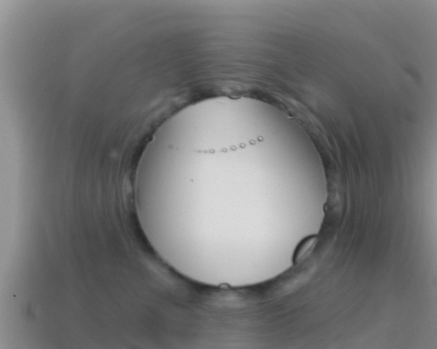 X0000114420523200910161057