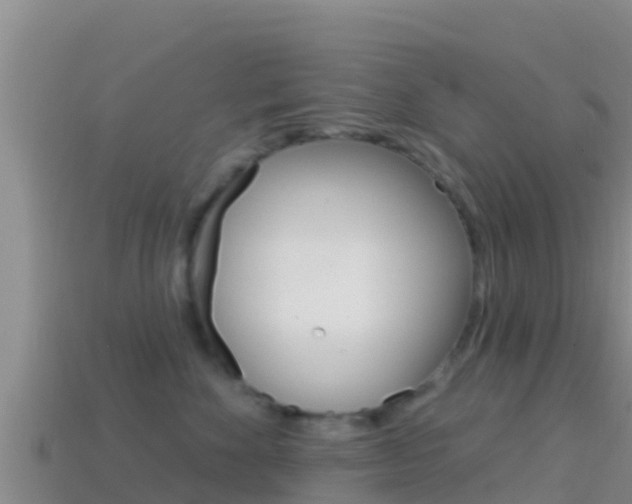 X0000114420524200910161057