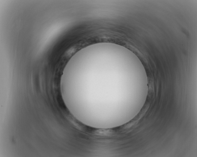 X0000114420526200910161057