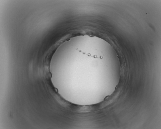 X0000114420527200910161056