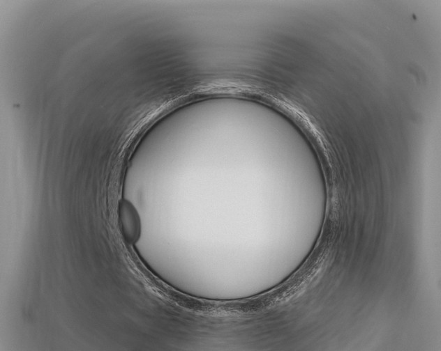 X0000114420529200910161056