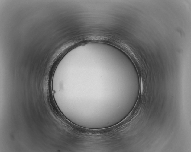 X0000114420531200910161056