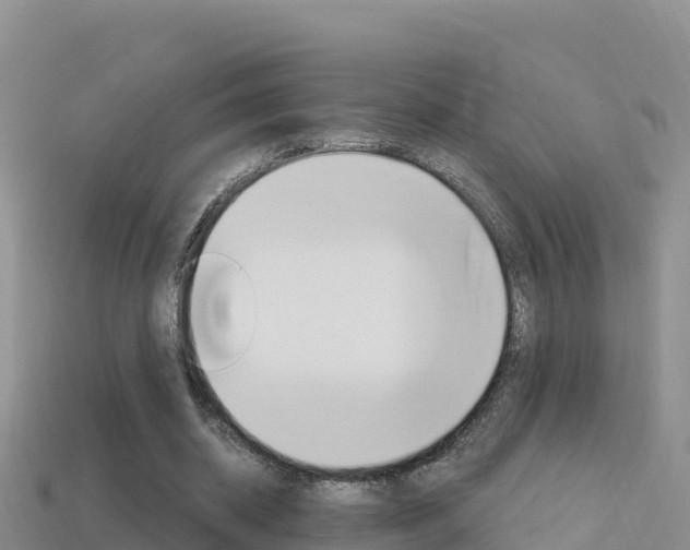 X0000114420534200910161056