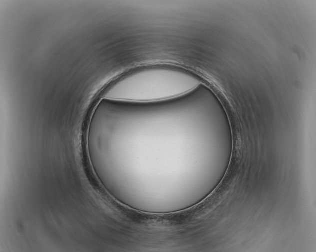 X0000114420535200910161056