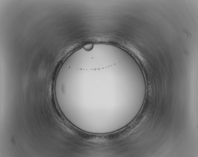 X0000114420537200910161056