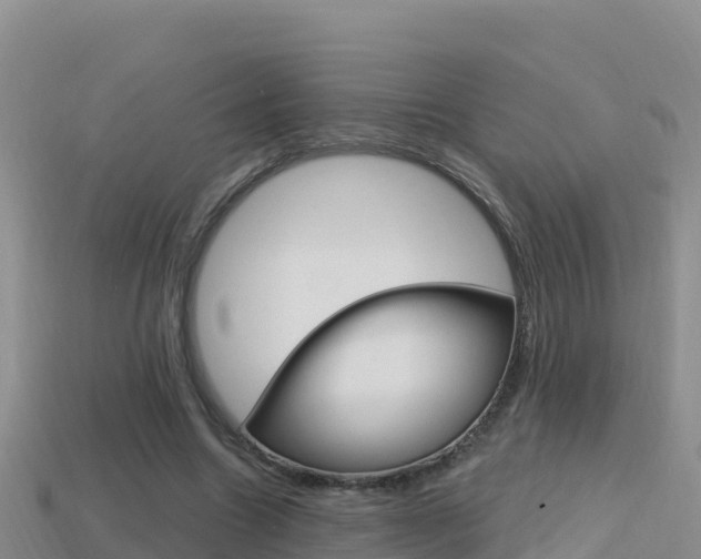 X0000114420538200910161056