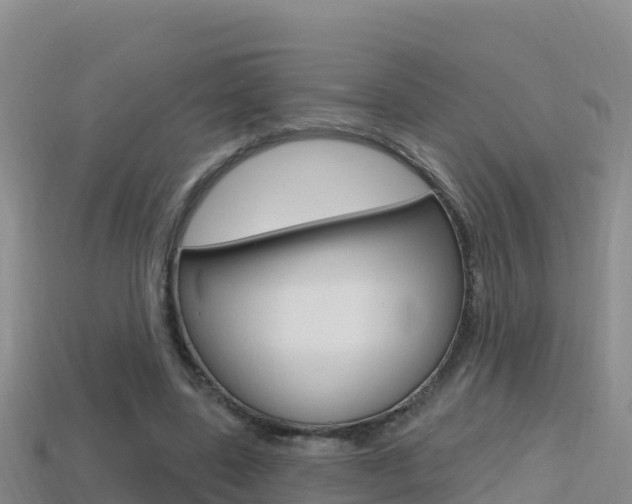 X0000114420539200910161056