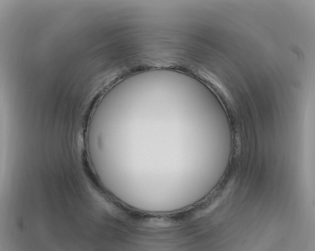 X0000114420541200910161056