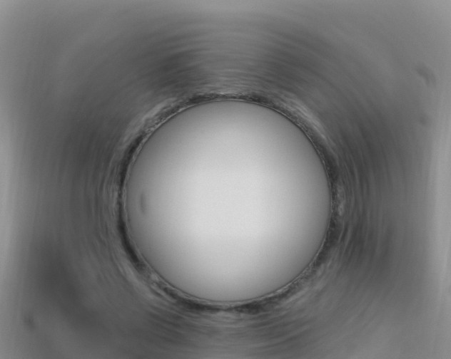 X0000114420542200910161056