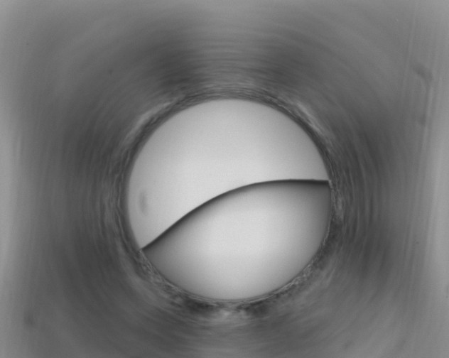 X0000114420543200910161056