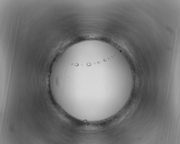 X0000114420545200910161056