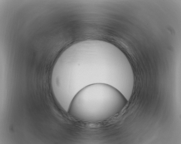 X0000114420546200910161056