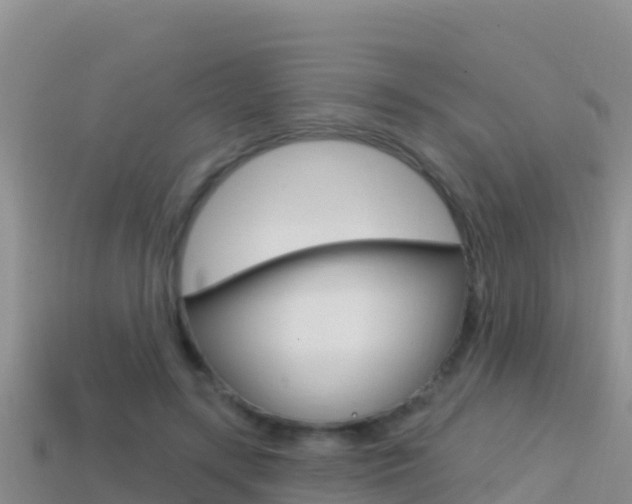 X0000114420547200910161056