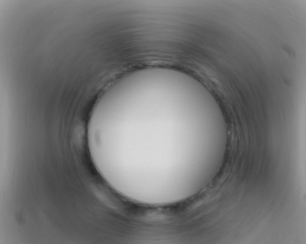 X0000114420550200910161056
