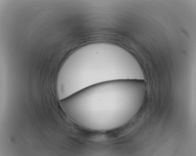 X0000114420551200910161056