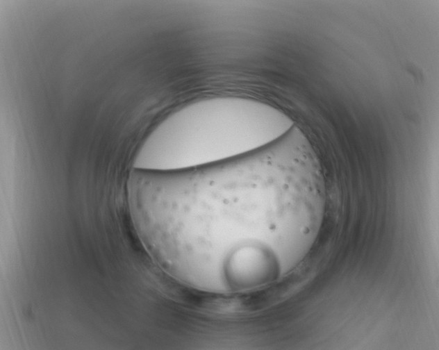 X0000114420554200910161056