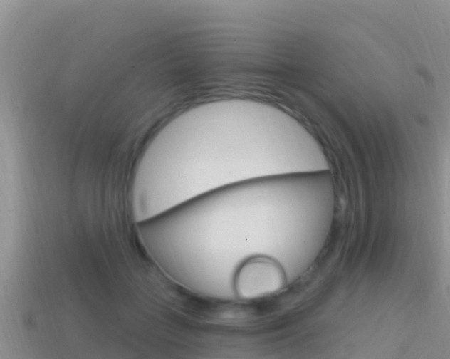 X0000114420555200910161056