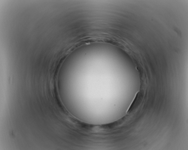 X0000114420562200910161056
