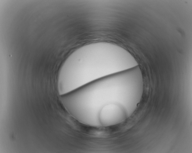 X0000114420563200910161056