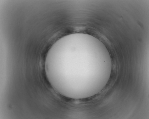 X0000114420565200910161056