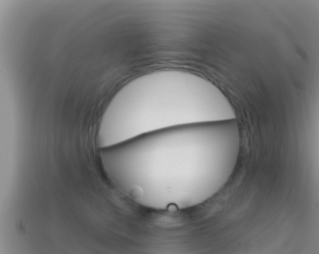 X0000114420567200910161056