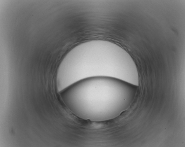 X0000114420570200910161056