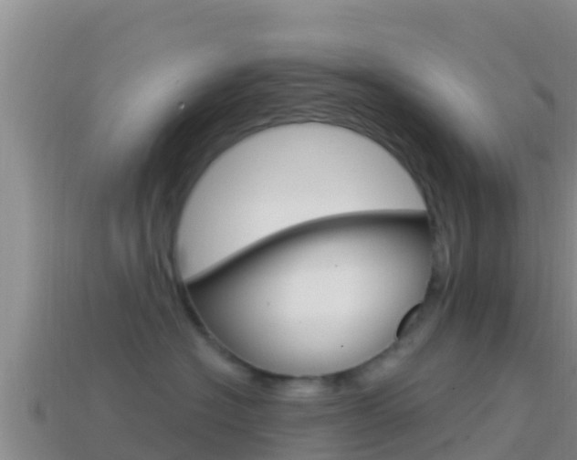 X0000114420574200910161056