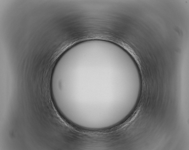 X0000114420577200910161055