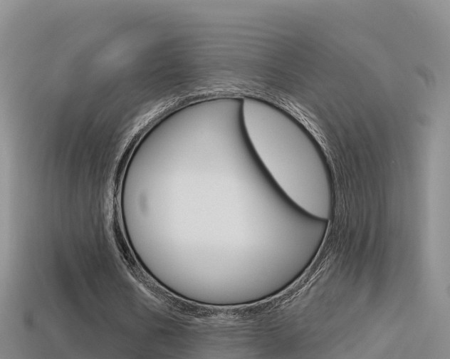 X0000114420578200910161055