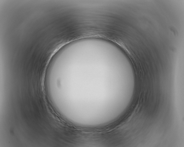 X0000114420579200910161055