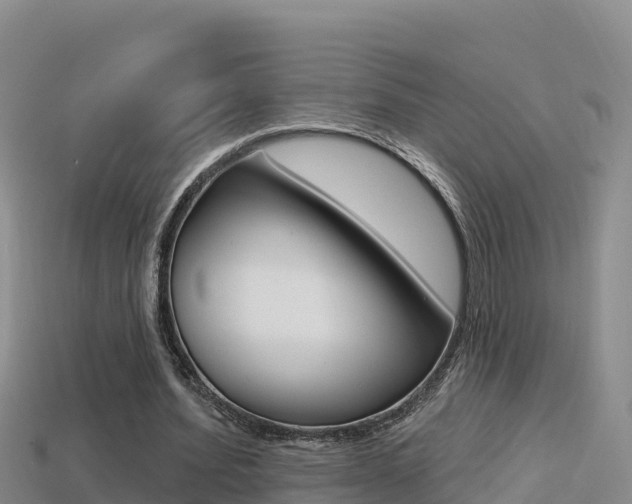 X0000114420580200910161055