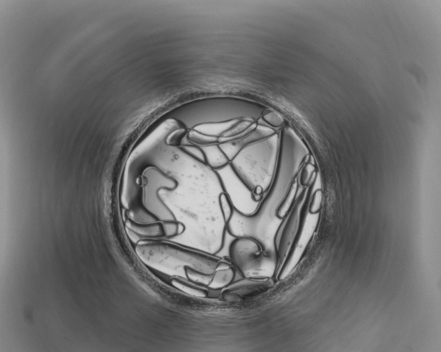 X0000114420581200910161055