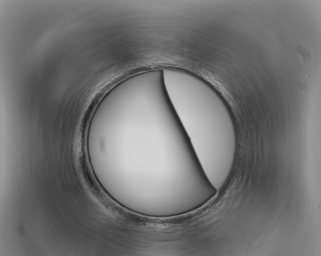 X0000114420582200910161055