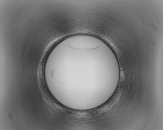 X0000114420583200910161055