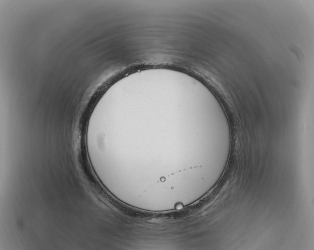 X0000114420584200910161055