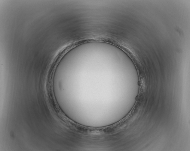 X0000114420587200910161055