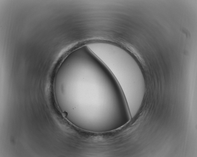 X0000114420588200910161055