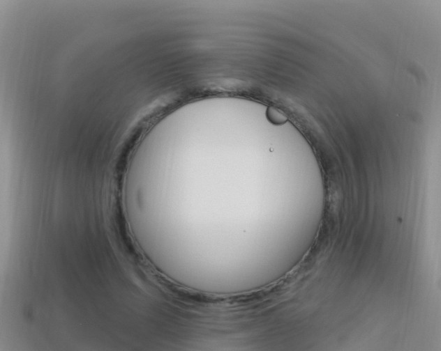 X0000114420591200910161055